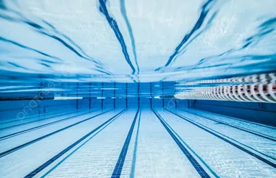 Лайфхак: как не дать воде в бассейне зацвести | PriceMedia