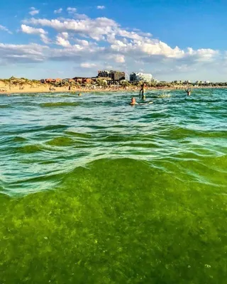 Что скрывают воды Чёрного моря - Статьи и репортажи РГО