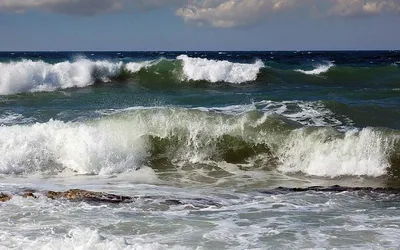 Вода в Черном море превратилась в зеленую кашу. Пока только в одном районе