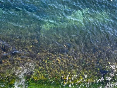 вода под солнцем, восход солнца над морем, природная красота, подводный мир  png | PNGWing