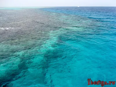 Вода в море в Лазаревском