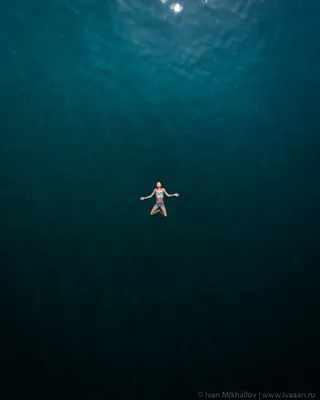 Над водой или под водой? | Пикабу