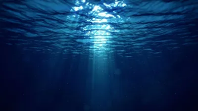 Фотосессия под водой в Москве