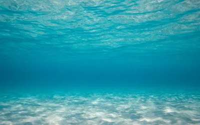 Фон под водой - 64 фото