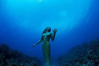 Самые красивые и необычные вещи, которые можно встретить под водой | Пикабу