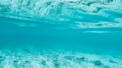 Наполовину под водой в море Стоковое Фото - изображение насчитывающей  никто, полинезия: 117746890