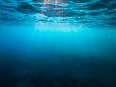 55-летний ученый решил прожить 100 дней под водой. Зачем ему это нужно |  РБК Life