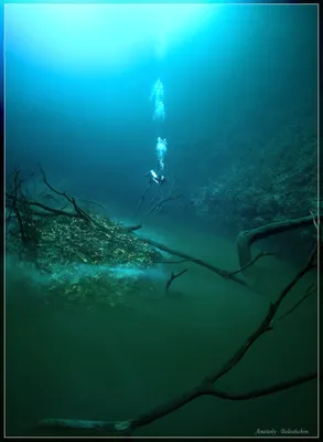 Река под водой (фото, видео) - Моя газета | Моя газета