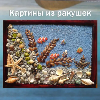 Поделки-сувениры из морских ракушек | Дети в городе Кривой Рог