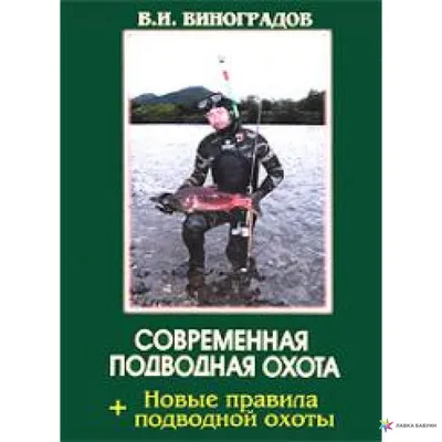 Лучшие ружья для подводной охоты | WATERIA.ru - товары для комфорта в воде!  | Дзен