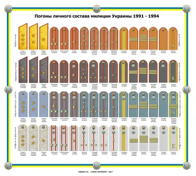 Шеврон погон Майор полиции с номером жетона на липучке Шевроны на заказ  (AN-12-300-19) (ID#1886579977), цена: 100 ₴, купить на Prom.ua