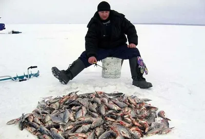 Астрахань надоела, все приезжают к нам»: как устроен мир татарстанской  рыбалки