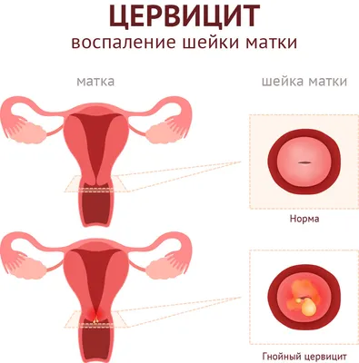 Делать не постыдно, но говорить — непристойно] Роледер, Г. ... | Аукционы |  Аукционный дом «Литфонд»