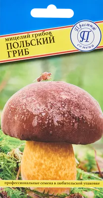 Замороженные грибы из Волыни оказались радиоактивными | Uatom.org