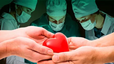Вероятность развития осложнений после операции на сердце связали со  временем суток