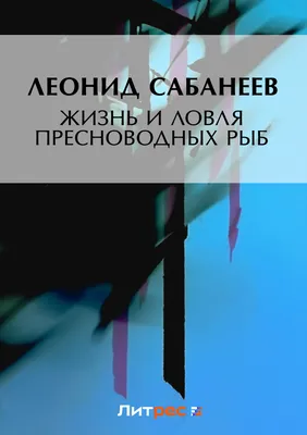 Набор Пресноводных Рыб — стоковая векторная графика и другие изображения на  тему Рыба - Рыба, Пресноводная рыба, Светлопёрый судак - iStock