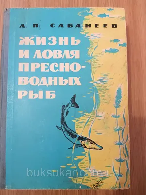 Изолированные наброски морских и пресноводных рыб Векторное изображение  ©Seamartini 206114670