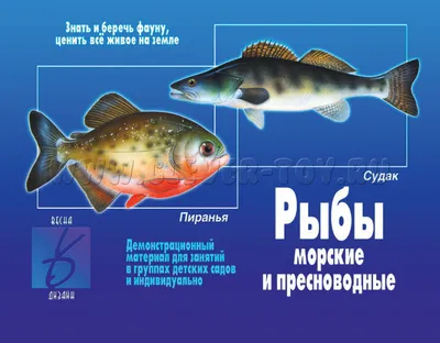 Предельный и средний возраст разных видов и популяций рыб [1974 Никольский  Г.В. - Теория динамики стада рыб как биологическая основа рациональной  эксплуатации и воспроизводства рыбных ресурсов]