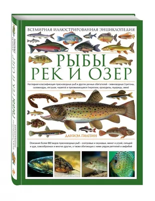 Рыба Игла необычный обитатель Волги и Камы, откуда появилась и почему у рыбы  иглы такой причудливый внешний вид, ответ ихтиолога | Заметки ихтиолога. |  Дзен