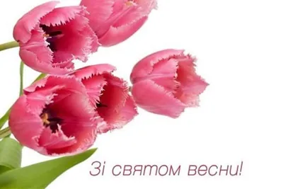 ТОП-5 самых нелепых подарков сотрудницам на 8 марта — Work.ua