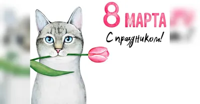 8 марта :: праздник / смешные картинки и другие приколы: комиксы, гиф  анимация, видео, лучший интеллектуальный юмор.