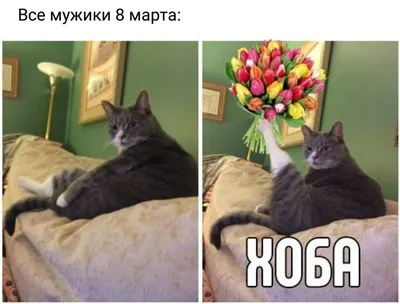 Поздравляем всех девочек с 8 марта!!! #кнопанашакиса #котики #милота #... |  TikTok