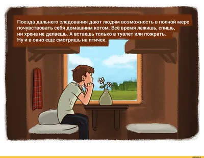 А вы заметили важный недочёт новых правил РЖД о нижней полке вагона поезда?  Написали мне комментаторы об этом | Удивляться разрешено | Дзен