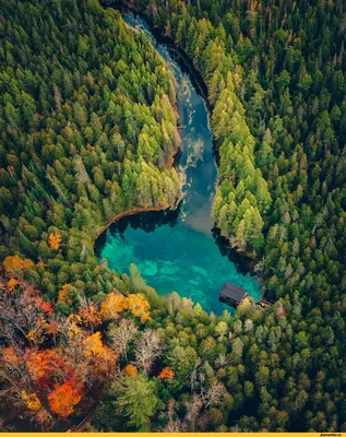 Восход солнца, природа, Карелия, лес…» — создано в Шедевруме