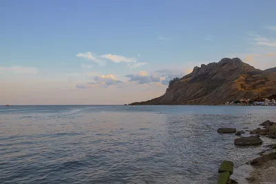 морской пейзаж вид на море горы камни лазурная вода сосны кипр природа  картина маслом мастер-классы - Арт-студия Алексея Жукова