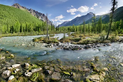 Горная река | ФОТОВЫСТАВКА