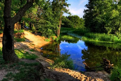 Бесплатное изображение: река, берег реки, пейзаж, лодка, осень, природа,  дерево, вода, лист, дерево