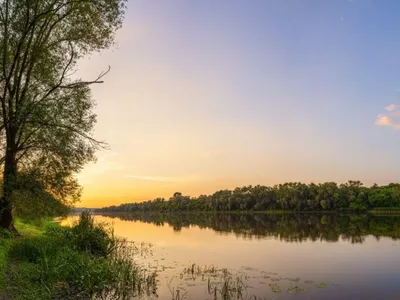 Акварель Ранняя осень. Природа. Река. Лес. Дерево купить в  интернет-магазине Ярмарка Мастеров по цене 3000 ₽ – L1V9WRU | Картины,  Королев - доставка по России