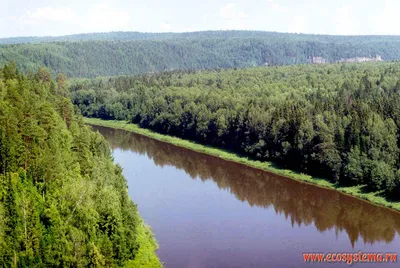 Реки и озёра Ростовской области, их виды и особенности