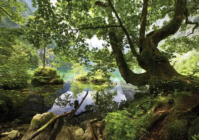 Скачать обои Пейзаж, река, природа, небо, лес на рабочий стол бесплатные  картики фото заставки для рабочего стола - Природа