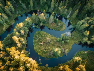 Река в горной местности. Красивые пейзажи природы с потоком воды из леса  Стоковое Изображение - изображение насчитывающей хвоя, сосенка: 186074241