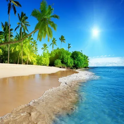 природа на пляже летом, природа, пляж, лето фон картинки и Фото для  бесплатной загрузки