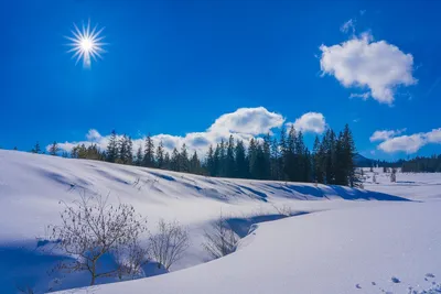 Картинка Зима Природа Высокого Качества – Telegraph