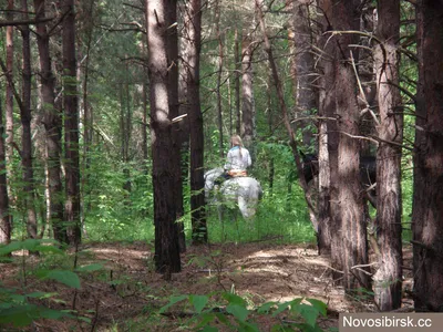 Привидение в лесу / VFL.Ru — надёжный и быстрый фотохостинг с 2009 года