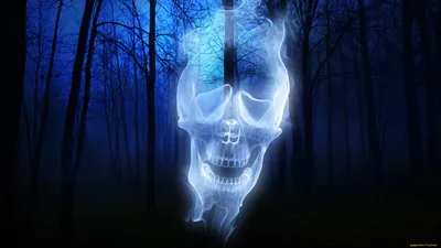 Фото привидения девушки в лесу, …» — создано в Шедевруме