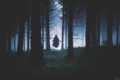 Лесной призрак | Страшные истории | Дзен