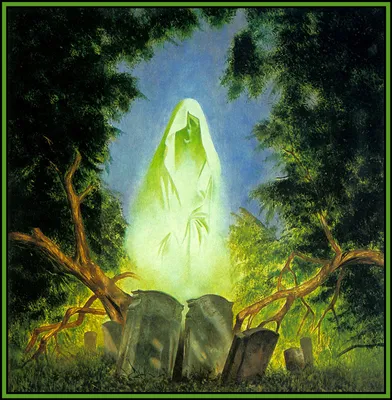 Дрон снял в лесу призрака девушки – ужасающие фото