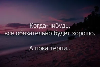 Картон разлагается за один год, как и наша любовь\" - конкурс альтернативных  валентинок от ВК | Zinoink о комиксах и шутках | Дзен