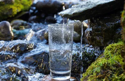 Минеральные источники на Кавказе под угрозой: можно ли пить целебную воду -  «Экология России»