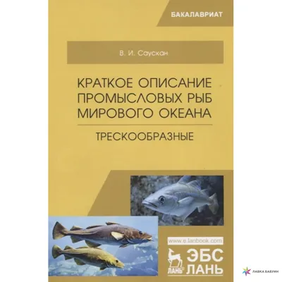 Презентация к дисциплине \"Товароведение пищевых продуктов\" - тема \"Основные  семейства промысловых рыб\"