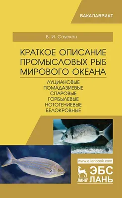 В Финском заливе восстанавливаются популяции ценных промысловых рыб -  Официальный сайт Администрации Санкт‑Петербурга