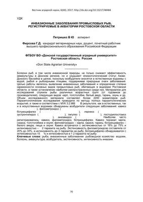 Заморские обитатели. Ученые сообщают о резкой смене живой природы в Черном  и Азовском морях - KP.RU