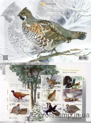 Вафельная картинка Боевые птицы Украины ᐈ Купить в Киеве | ZaPodarkom