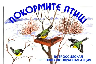 ПАМЯТКА по содержанию домашней птицы в личных подворьях граждан - Памятки  для граждан - Страница безопасности (ГО и ЧС) - Общество - Сельское  поселение Шеркалы