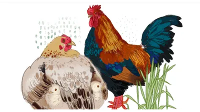 Почему яйца птиц разных цветов, объяснили ученые | Ветеринария и жизнь