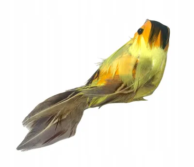 Иволга, птица, живое фото, высокая …» — создано в Шедевруме